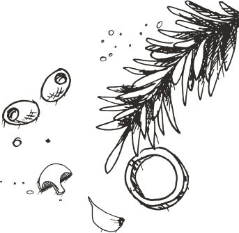 decoration of spieces