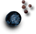 shape9